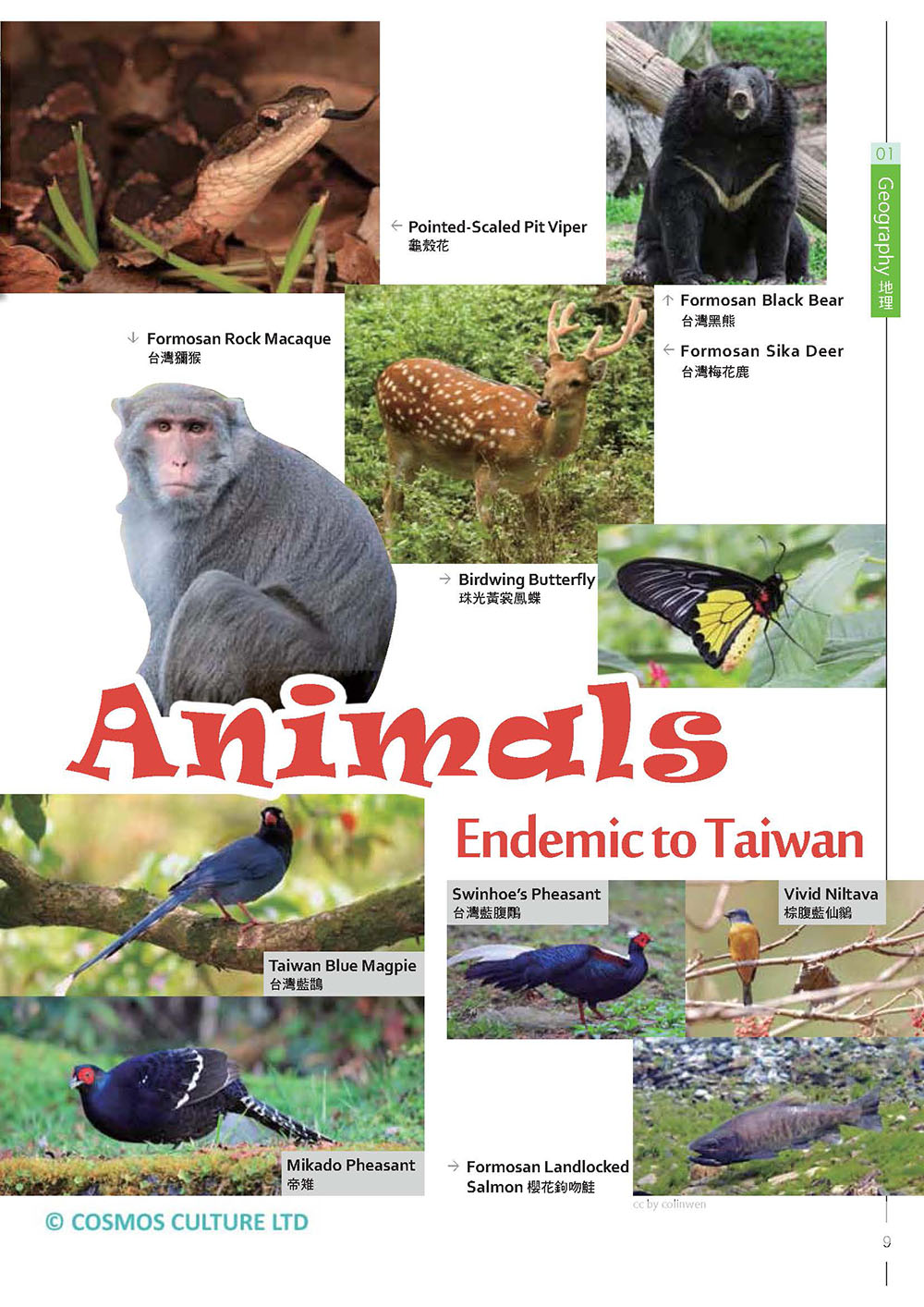 用英文介紹台灣 實用觀光導遊英語 彩圖四版 k 解答別冊 1mp3