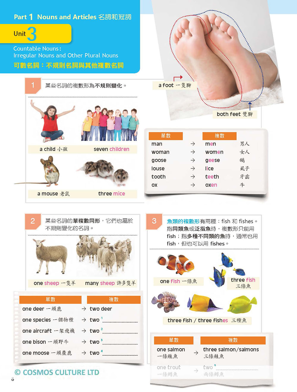 彩圖初級英文文法let 039 S See 四版 菊8k 解答別冊