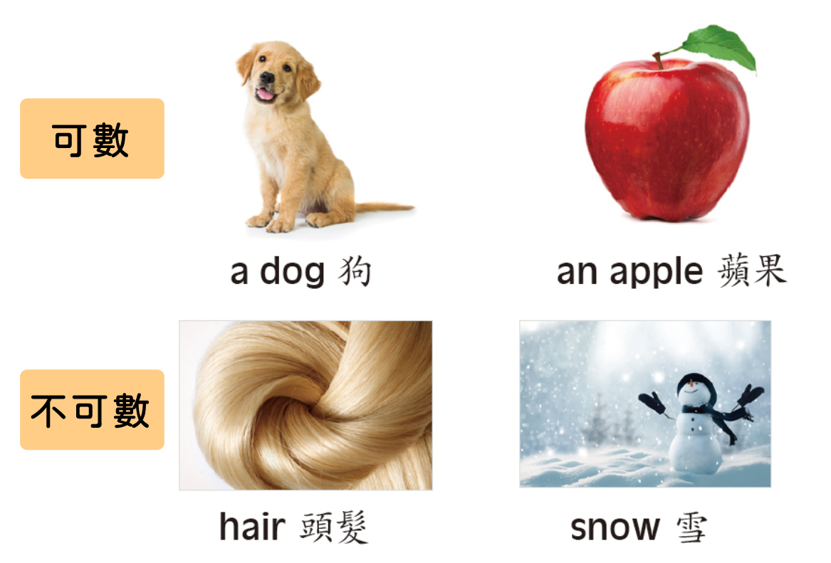8261