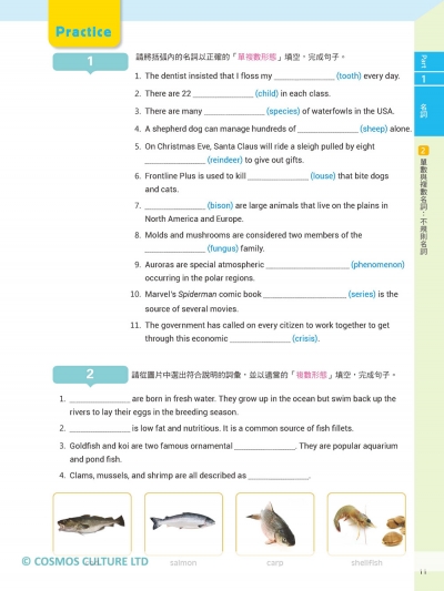 Let's See Grammar：彩圖中級英文文法【Intermediate 1】（三版）（菊8K彩色+解答別冊）